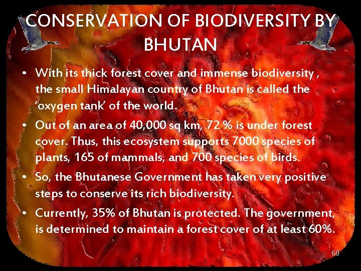 CONSERVATION OF BIODIVERSITY BY BHUTAN • With its thick forest cover and immense biodiversity