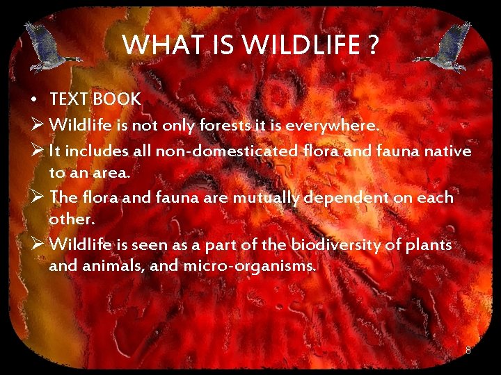 WHAT IS WILDLIFE ? • TEXT BOOK Ø Wildlife is not only forests it