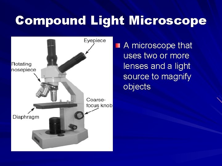 Compound Light Microscope A microscope that uses two or more lenses and a light