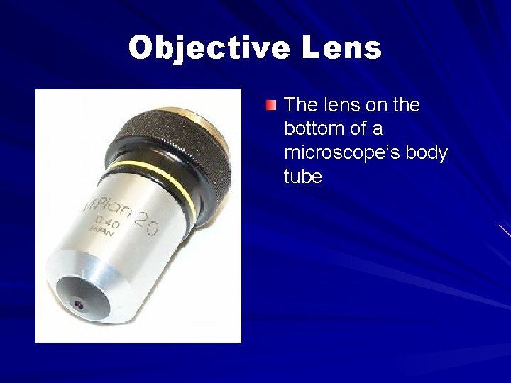 Objective Lens The lens on the bottom of a microscope’s body tube 