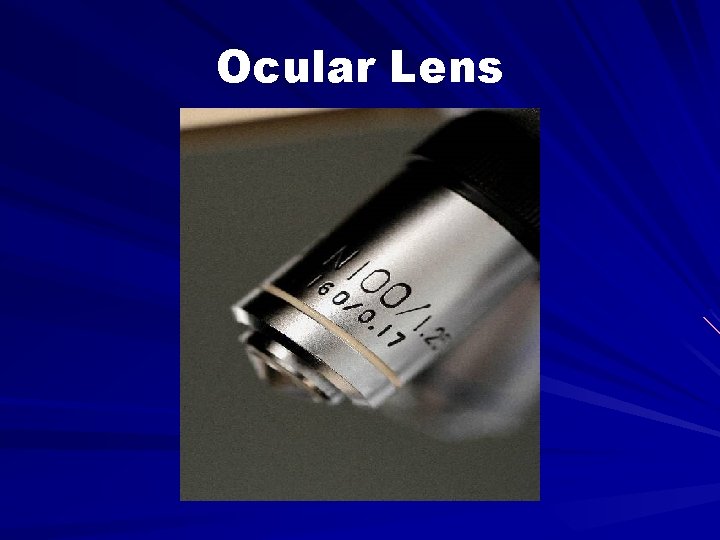 Ocular Lens 
