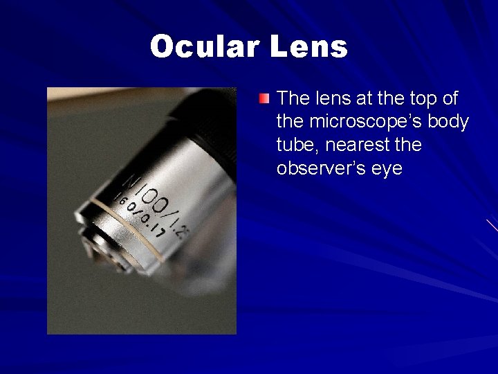 Ocular Lens The lens at the top of the microscope’s body tube, nearest the
