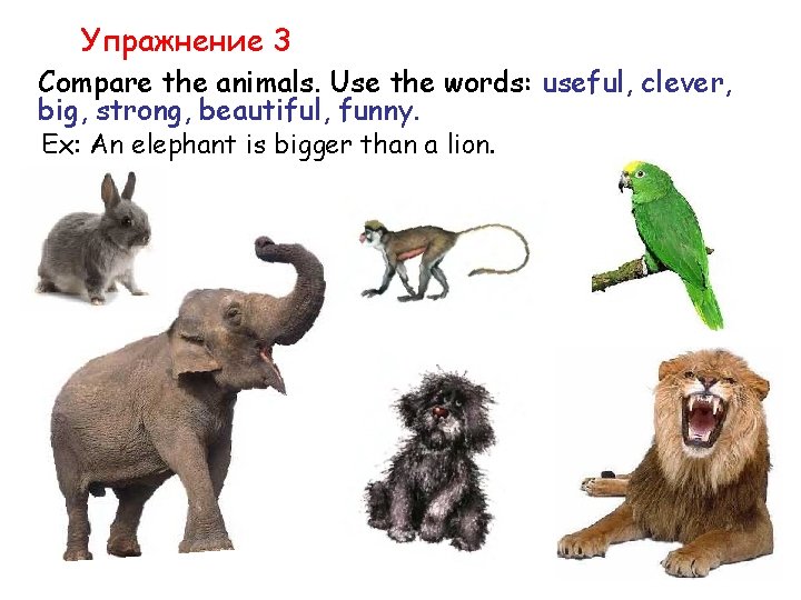 Упражнение 3 Compare the animals. Use the words: useful, clever, big, strong, beautiful, funny.