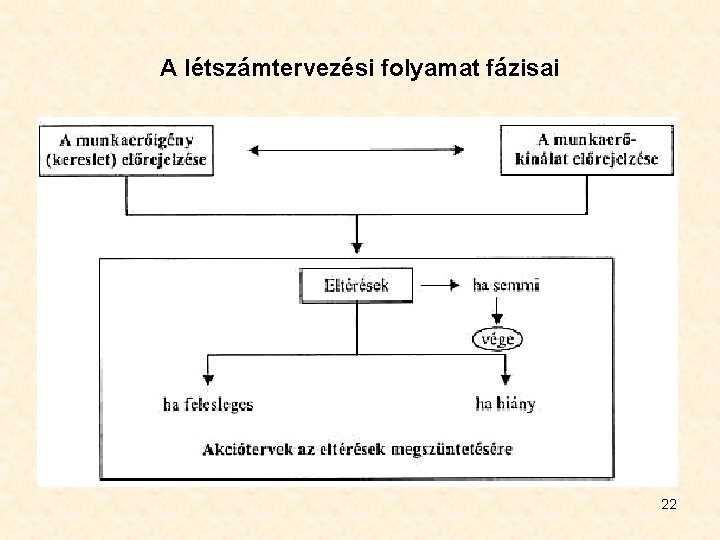 A létszámtervezési folyamat fázisai 22 