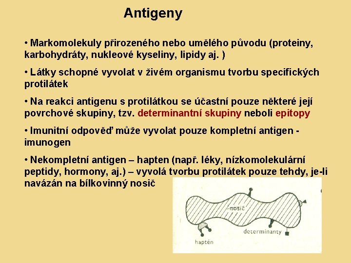 Antigeny • Markomolekuly přirozeného nebo umělého původu (proteiny, karbohydráty, nukleové kyseliny, lipidy aj. )