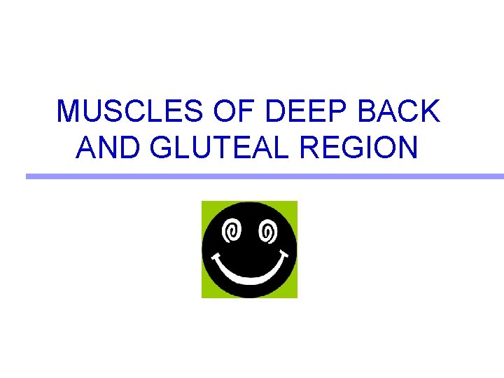 MUSCLES OF DEEP BACK AND GLUTEAL REGION 
