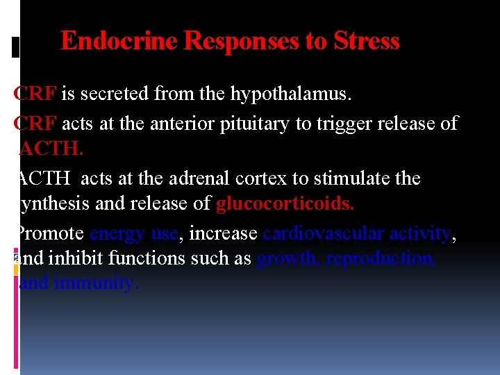 Endocrine Responses to Stress CRF is secreted from the hypothalamus. CRF acts at the