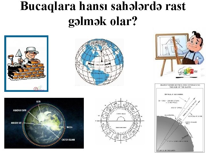 Bucaqlara hansı sahələrdə rast gəlmək olar? 