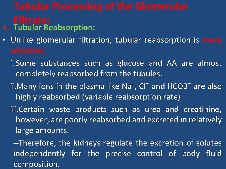 Tubular Processing of the Glomerular Filtrate: A. Tubular Reabsorption: • Unlike glomerular filtration, tubular