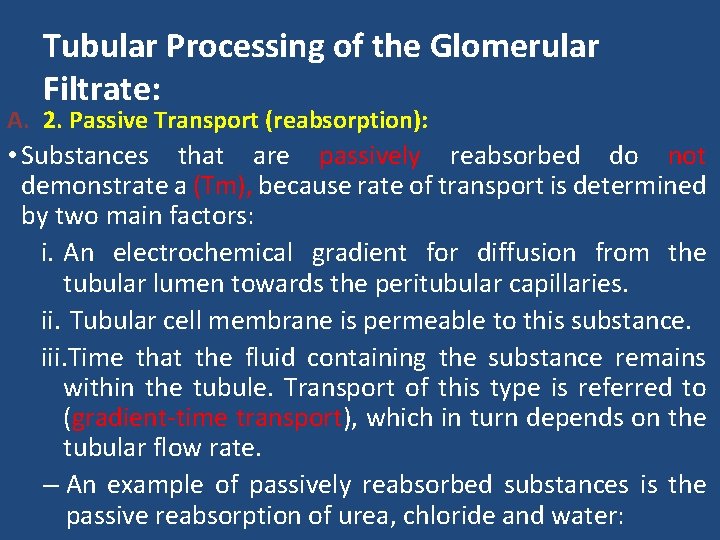 Tubular Processing of the Glomerular Filtrate: A. 2. Passive Transport (reabsorption): • Substances that