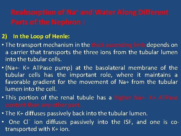 Reabsorption of Na+ and Water Along Different Parts of the Nephron : 2) In