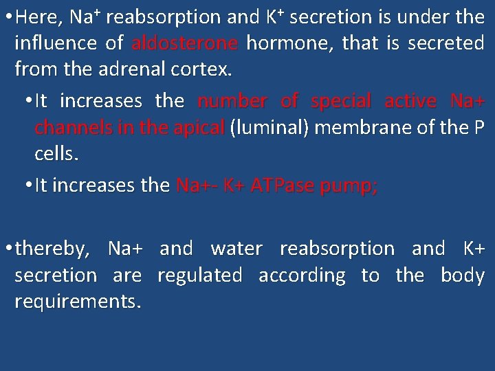  • Here, Na+ reabsorption and K+ secretion is under the influence of aldosterone