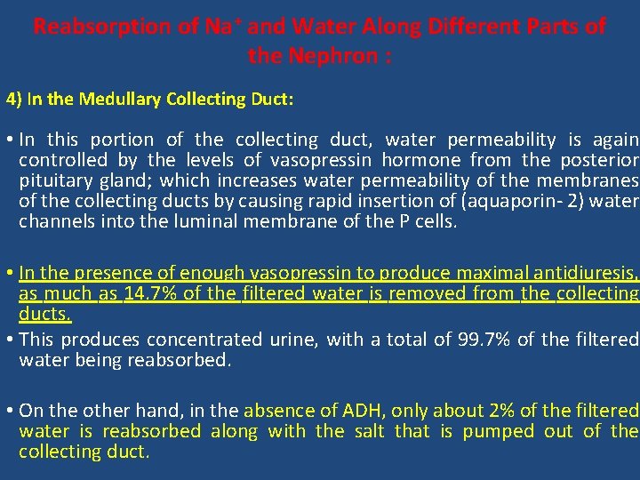 Reabsorption of Na+ and Water Along Different Parts of the Nephron : 4) In