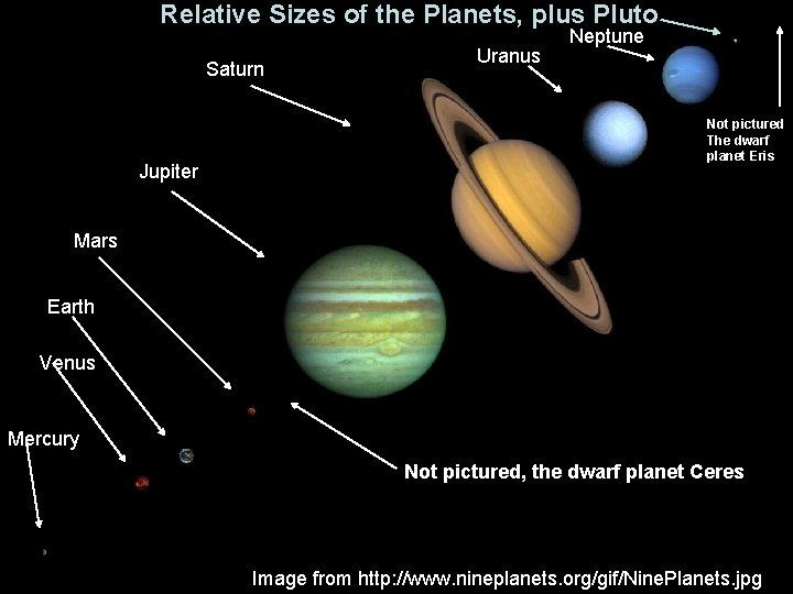 Relative Sizes of the Planets, plus Pluto Saturn Jupiter Uranus Neptune Not pictured The