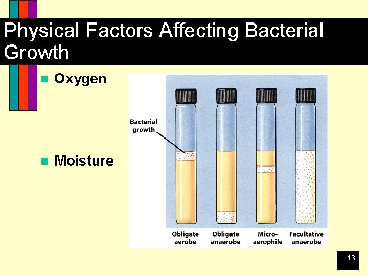Physical Factors Affecting Bacterial Growth n Oxygen n Moisture 13 