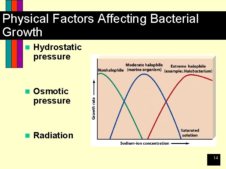 Physical Factors Affecting Bacterial Growth n Hydrostatic pressure n Osmotic pressure n Radiation 14