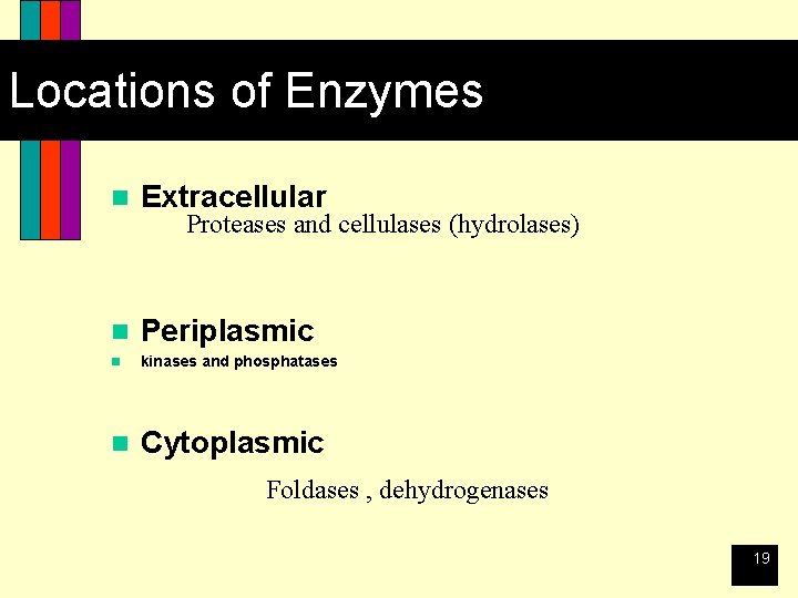 Locations of Enzymes n Extracellular n Periplasmic n kinases and phosphatases n Cytoplasmic Proteases