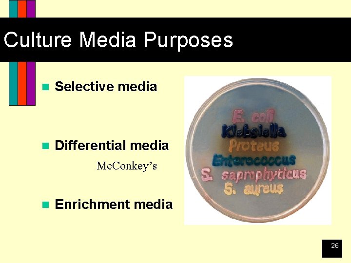 Culture Media Purposes n Selective media n Differential media Mc. Conkey’s n Enrichment media
