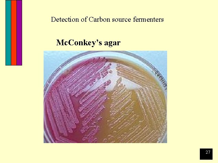 Detection of Carbon source fermenters Mc. Conkey’s agar 27 