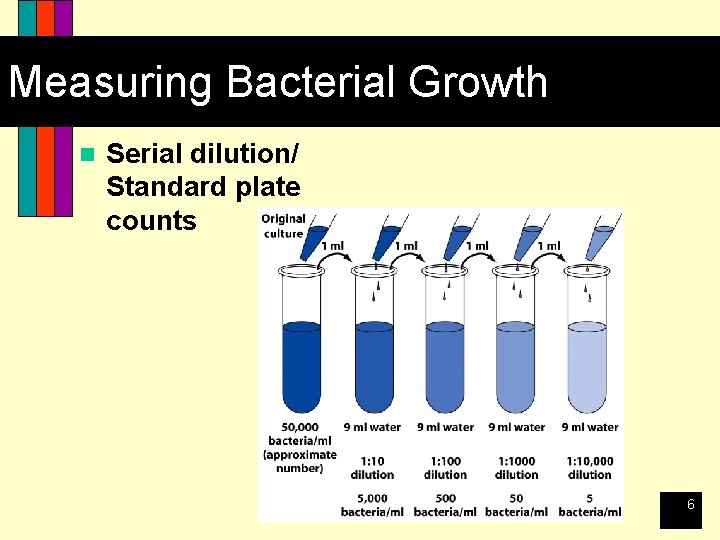 Measuring Bacterial Growth n Serial dilution/ Standard plate counts 6 