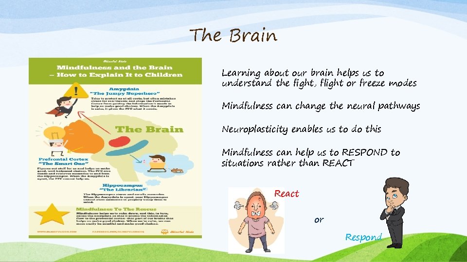 The Brain Learning about our brain helps us to understand the fight, flight or