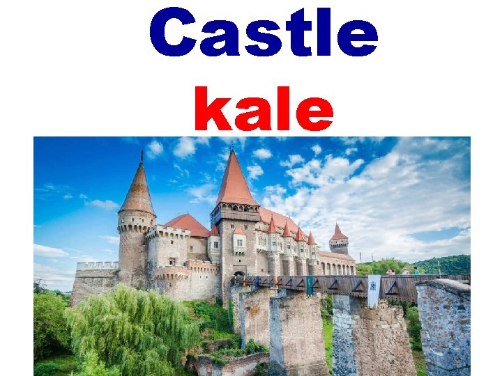 Castle kale 