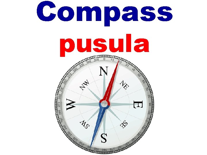 Compass pusula 