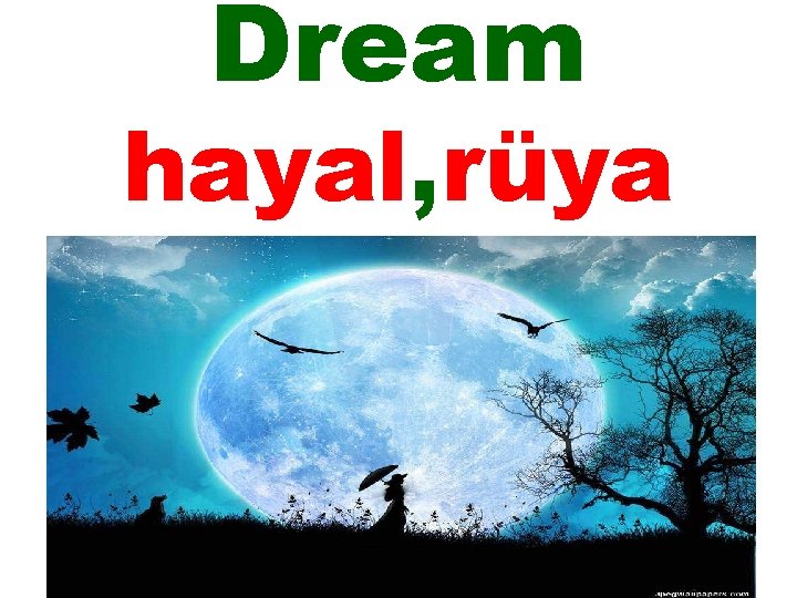 Dream hayal, rüya 