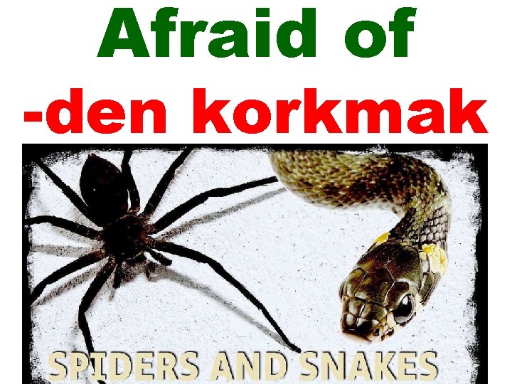 Afraid of -den korkmak 