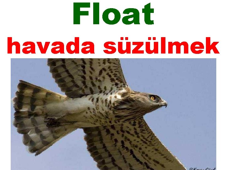 Float havada süzülmek 