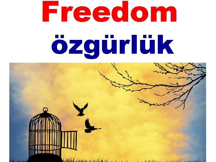 Freedom özgürlük 