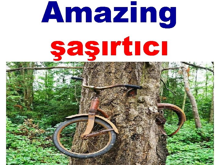 Amazing şaşırtıcı 