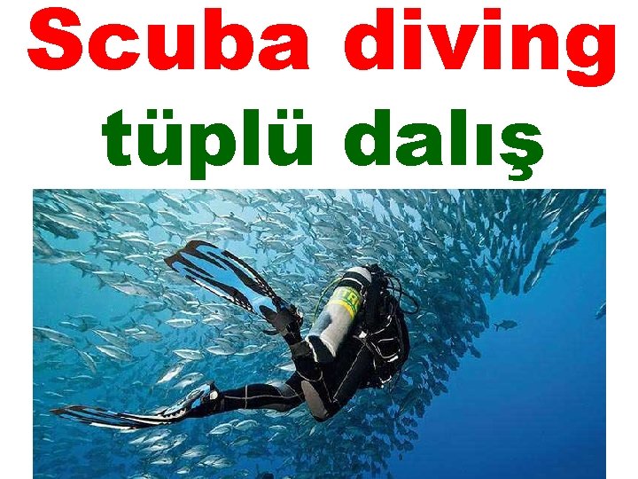 Scuba diving tüplü dalış 