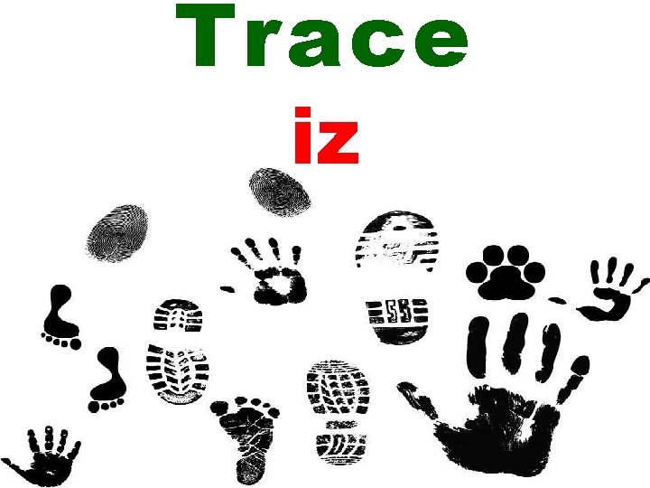 Trace iz 