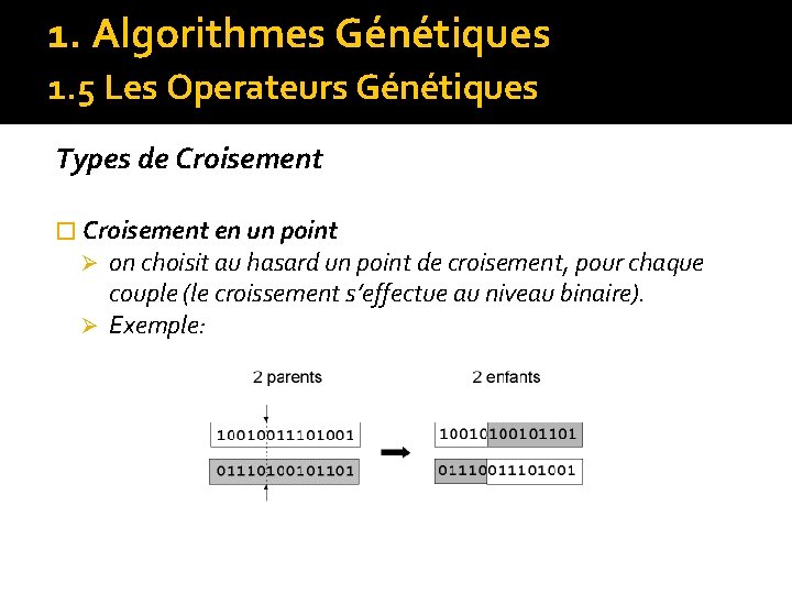 1. Algorithmes Génétiques 1. 5 Les Operateurs Génétiques Types de Croisement � Croisement en