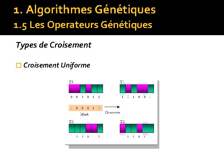 1. Algorithmes Génétiques 1. 5 Les Operateurs Génétiques Types de Croisement � Croisement Uniforme