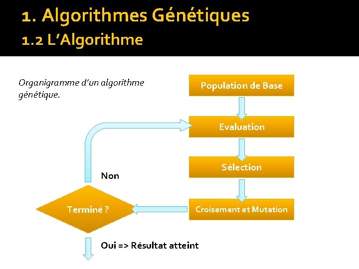 1. Algorithmes Génétiques 1. 2 L’Algorithme Organigramme d’un algorithme génétique. Population de Base Evaluation