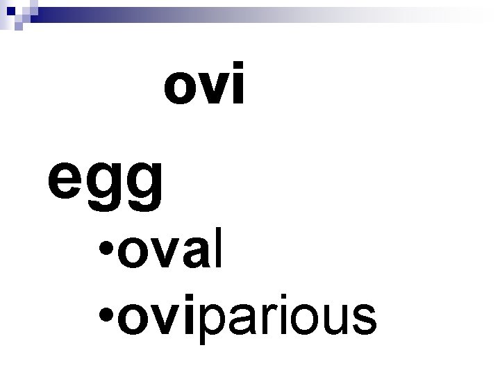 ovi egg • oval • oviparious 