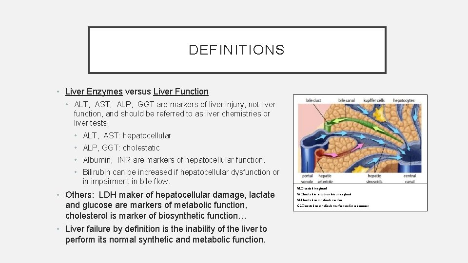 DEFINITIONS • Liver Enzymes versus Liver Function • ALT, AST, ALP, GGT are markers