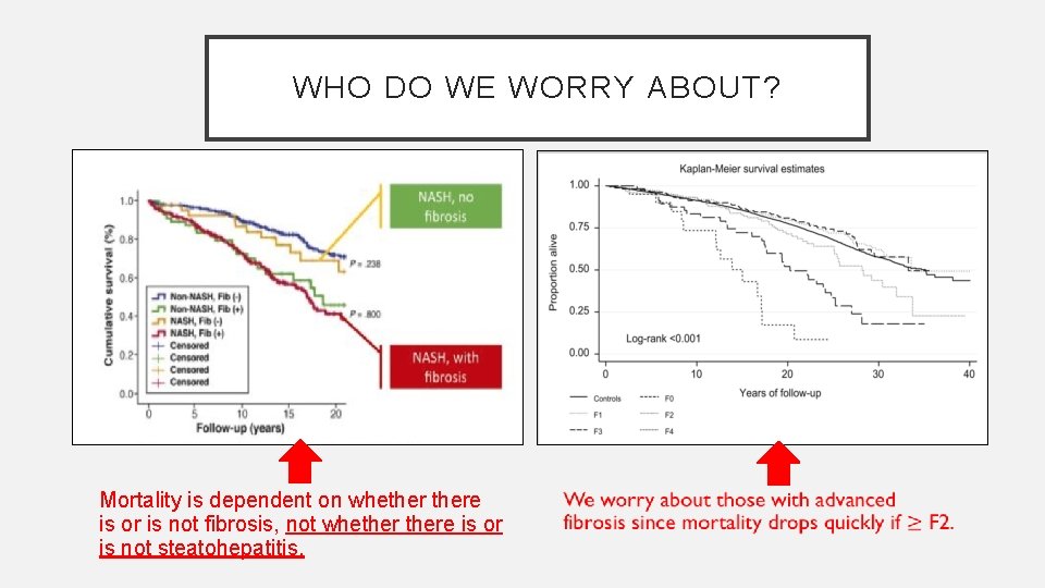 WHO DO WE WORRY ABOUT? Angulo et al, 2015 Mortality is dependent on whethere