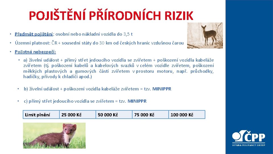 POJIŠTĚNÍ PŘÍRODNÍCH RIZIK • Předmět pojištění: osobní nebo nákladní vozidla do 3, 5 t POJIŠTĚNÍ PŘÍRODNÍCH RIZIK • Předmět pojištění: osobní nebo nákladní vozidla do 3, 5 t