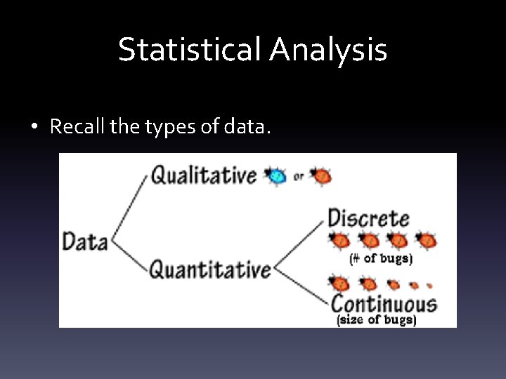 Statistical Analysis • Recall the types of data. 
