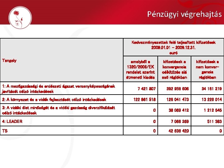 Pénzügyi végrehajtás Kedvezményezettek felé teljesített kifizetések 2009. 01 - 2009. 12. 31. euró Tengely