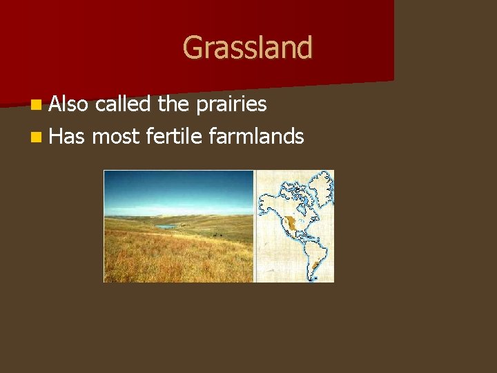 Grassland n Also called the prairies n Has most fertile farmlands 