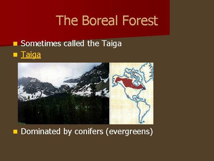 The Boreal Forest Sometimes called the Taiga n n Dominated by conifers (evergreens) 