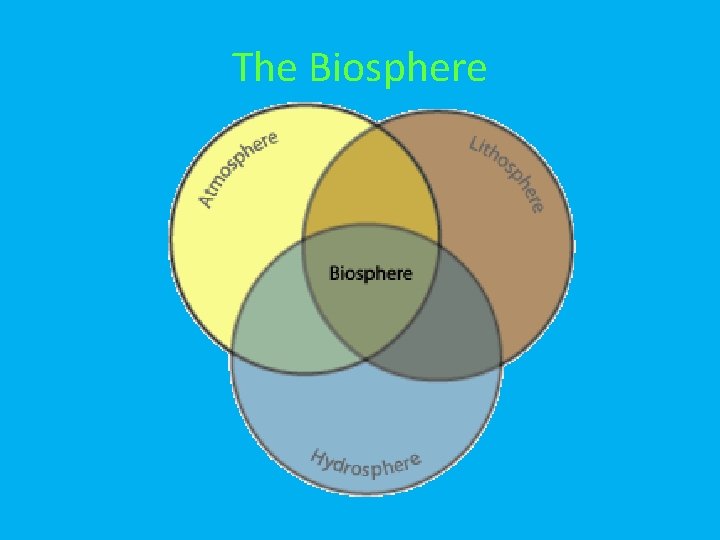 The Biosphere 