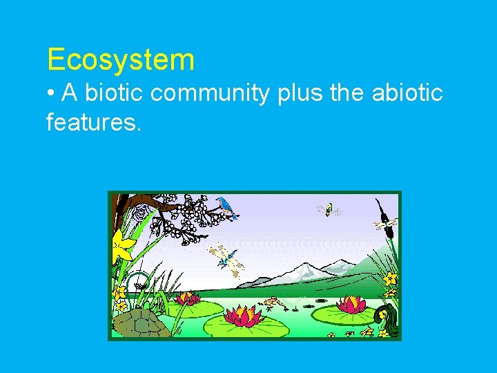 Ecosystem • A biotic community plus the abiotic features. 