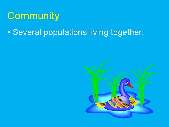 Community • Several populations living together. 