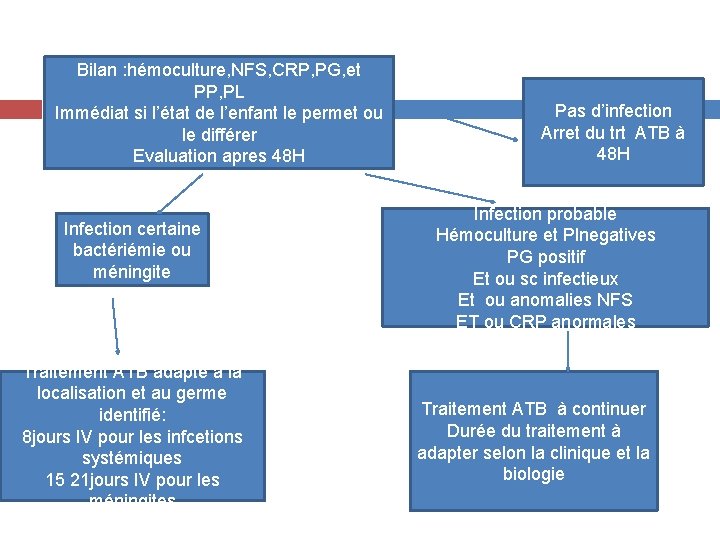 Bilan : hémoculture, NFS, CRP, PG, et PP, PL Immédiat si l’état de l’enfant