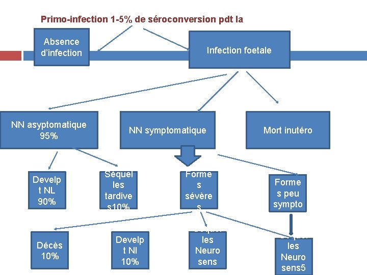 Primo-infection 1 -5% de séroconversion pdt la grossesse Absence Infection foetale d’infection NN asyptomatique